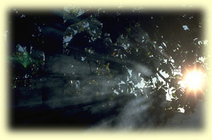 Protection and increased vitality through unique resonance technology