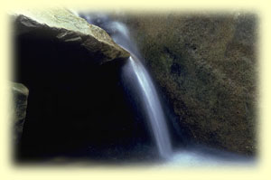 Amanda Water Vitaliser for more well-being and vitality