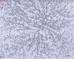 Wasser nachher - Kristallanalyse zum Beweis für die Amanda Wasserbelebung - Amanda Energieprodukte, Amulett, Bodenbelebung, Depression, Der richtige Platz, dowsing, earth rays, electromagnetic stress, Elektrosmog, Energiesysteme,Energietechnik,energy products, entstören, Entstörung, Erdstrahlen, Erdstrahlung, Erschöpfung, fatigue, Feng Shui, Geomantie, geopathic stress, Hautkrankheit, Hautproblem, Hyperaktivität, insomnia, Kinderlosigkeit, Kopfschmerzen, Kraftort, Kraftplatz, Lichtenergie, Medaillon, Migräne, Müdigkeit, Nervosität, Neurodermitis, Orgon, Ort der Kraft, Pendel, pendeln, place of power, Psoriasis, pyramid, Pyramide, Radiästhesie, Resonanz-Technologie, Rückenschmerzen, Rute, Rutengehen, Schlaflosigkeit, Schlafplatzuntersuch, Schlafstörungen, Schmerzen, Standortbelastung, Stoffwechselstörungen, Tachionen, Tachyon, Tschopp, Umweltverschmutzung, Unterleibsbeschwerden, Verdauungsproblem, Verspannungen, vitalisation, vitaliser, vitalisieren, Wasser, Wasserader, Wasseradern, Wasseraktivierung, Wasserbelebung, Wasserqualität, Wassertherapie, Wasservitalisierung, water, Wünschelrute, LIEBE, DANKBARKEIT