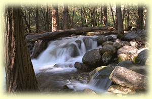 Amanda Wasserbelebung für mehr Lebensenergie - Amanda Wasserblebung: Verwandeln Sie Ihr Trinkwasser in eine Energiequelle! - Amanda Energieprodukte, Amulett, Bodenbelebung, Depression, Der richtige Platz, dowsing, earth rays, electromagnetic stress, Elektrosmog, Energiesysteme,Energietechnik,energy products, entstören, Entstörung, Erdstrahlen, Erdstrahlung, Erschöpfung, fatigue, Feng Shui, Geomantie, geopathic stress, Hautkrankheit, Hautproblem, Hyperaktivität, insomnia, Kinderlosigkeit, Kopfschmerzen, Kraftort, Kraftplatz, Lichtenergie, Medaillon, Migräne, Müdigkeit, Nervosität, Neurodermitis, Orgon, Ort der Kraft, Pendel, pendeln, place of power, Psoriasis, pyramid, Pyramide, Radiästhesie, Resonanz-Technologie, Rückenschmerzen, Rute, Rutengehen, Schlaflosigkeit, Schlafplatzuntersuch, Schlafstörungen, Schmerzen, Standortbelastung, Stoffwechselstörungen, Tachionen, Tachyon, Tschopp, Umweltverschmutzung, Unterleibsbeschwerden, Verdauungsproblem, Verspannungen, vitalisation, vitaliser, vitalisieren, Wasser, Wasserader, Wasseradern, Wasseraktivierung, Wasserbelebung, Wasserqualität, Wassertherapie, Wasservitalisierung, water, Wünschelrute, LIEBE, DANKBARKEIT